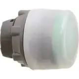 ZB5AP3