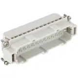 10186202