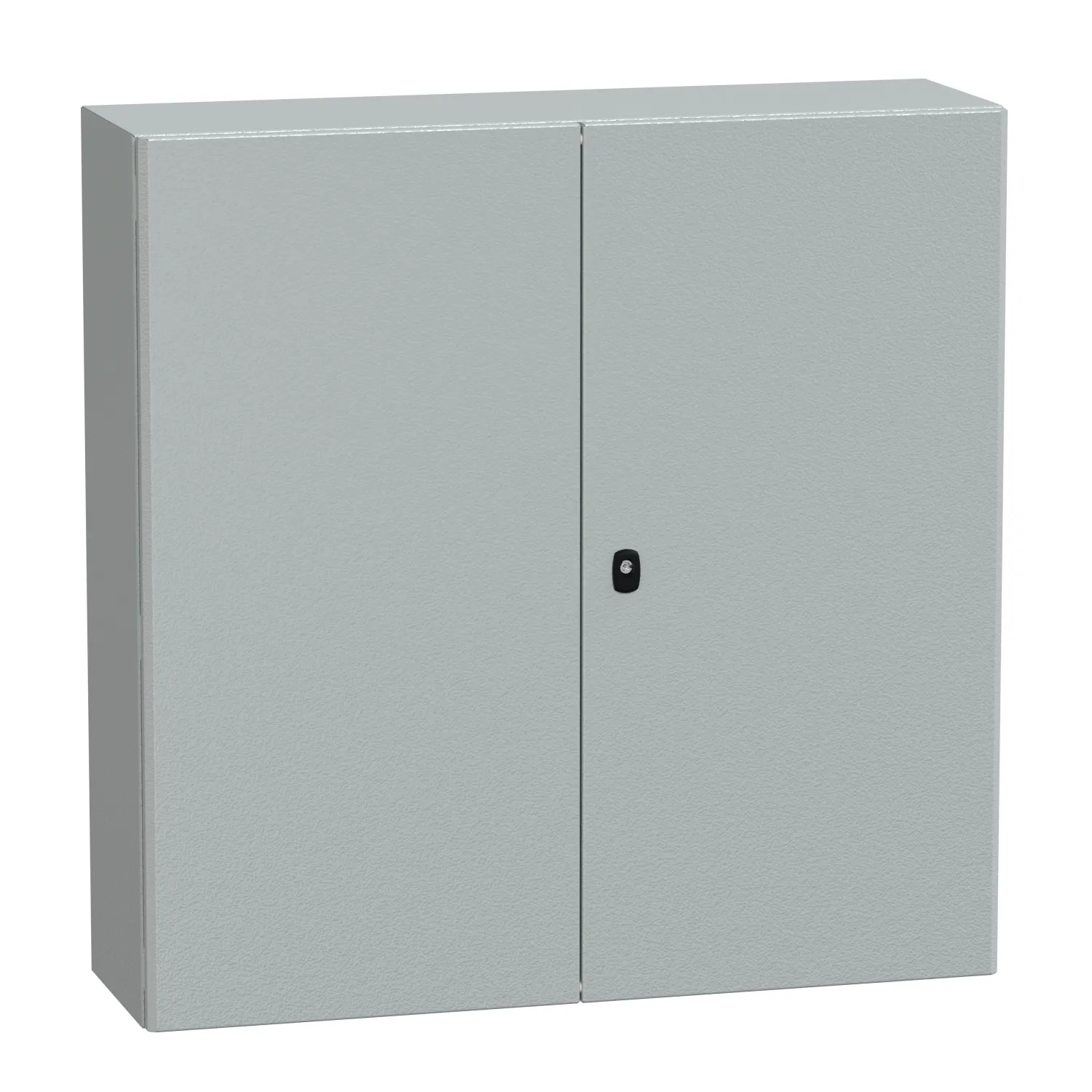 Schneider Electric NSYS3D101030DP Pic_1
