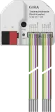 519800