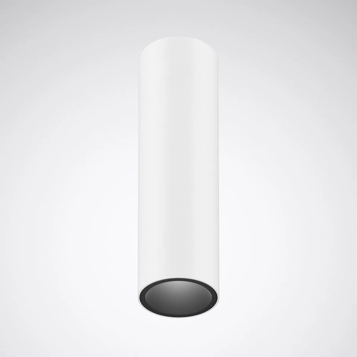 Trilux SNS RD1 SRFL-19 8-930 ETDD 01 Pic_1