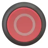 216656