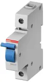 2CCS800900R0061