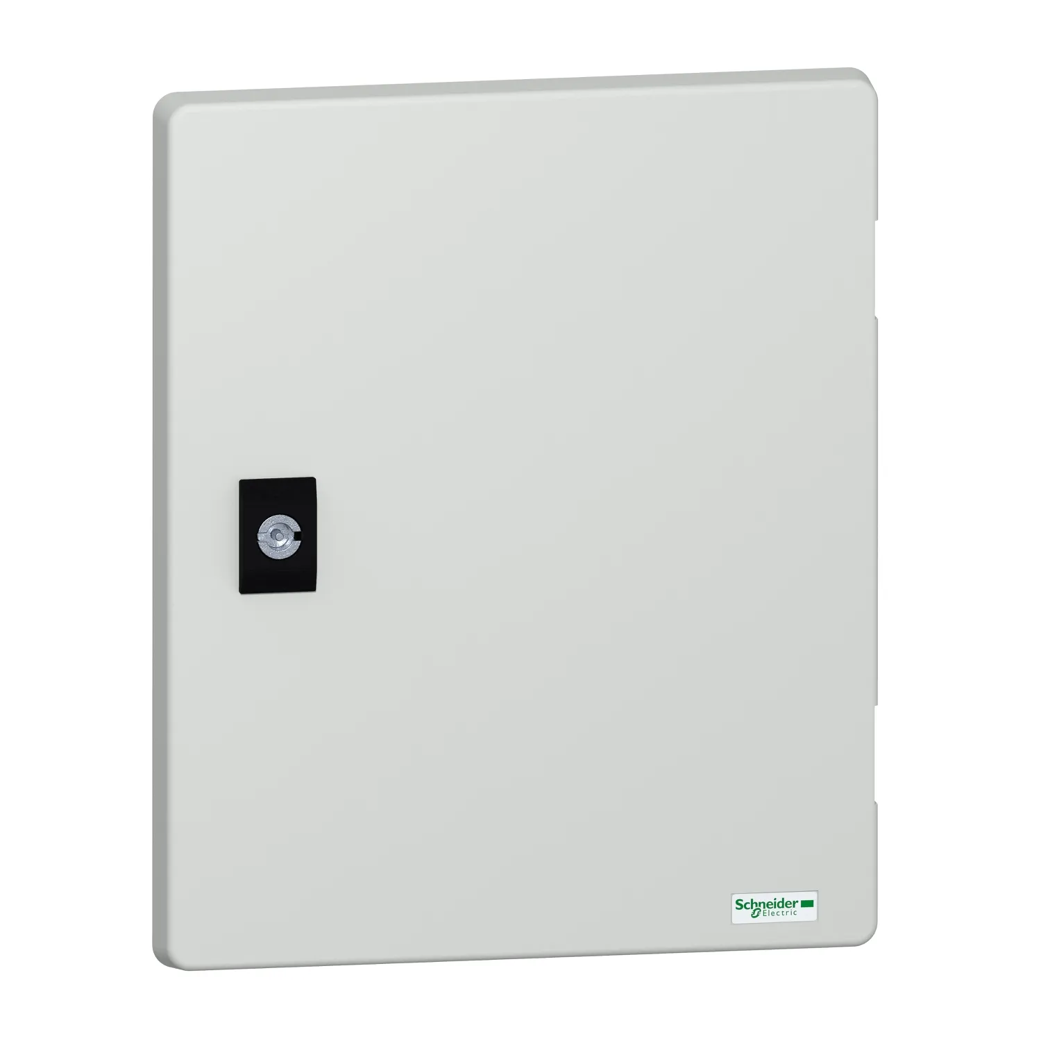 Schneider Electric NSYDPLM3025G Pic_1