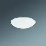 25316124111