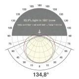 C20242401040