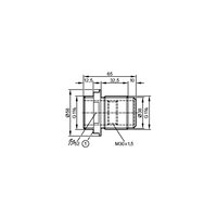 Ifm Electronic E11035 Pic_1