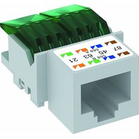 Obo Bettermann ASM-C5 Pic_2