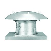 Maico DZD 25/2 B Pic_3