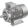 Siemens 1LA6166-2AA50 Pic_1