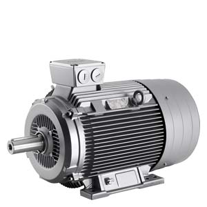 Siemens 1LG4220-8AB16 Pic_2