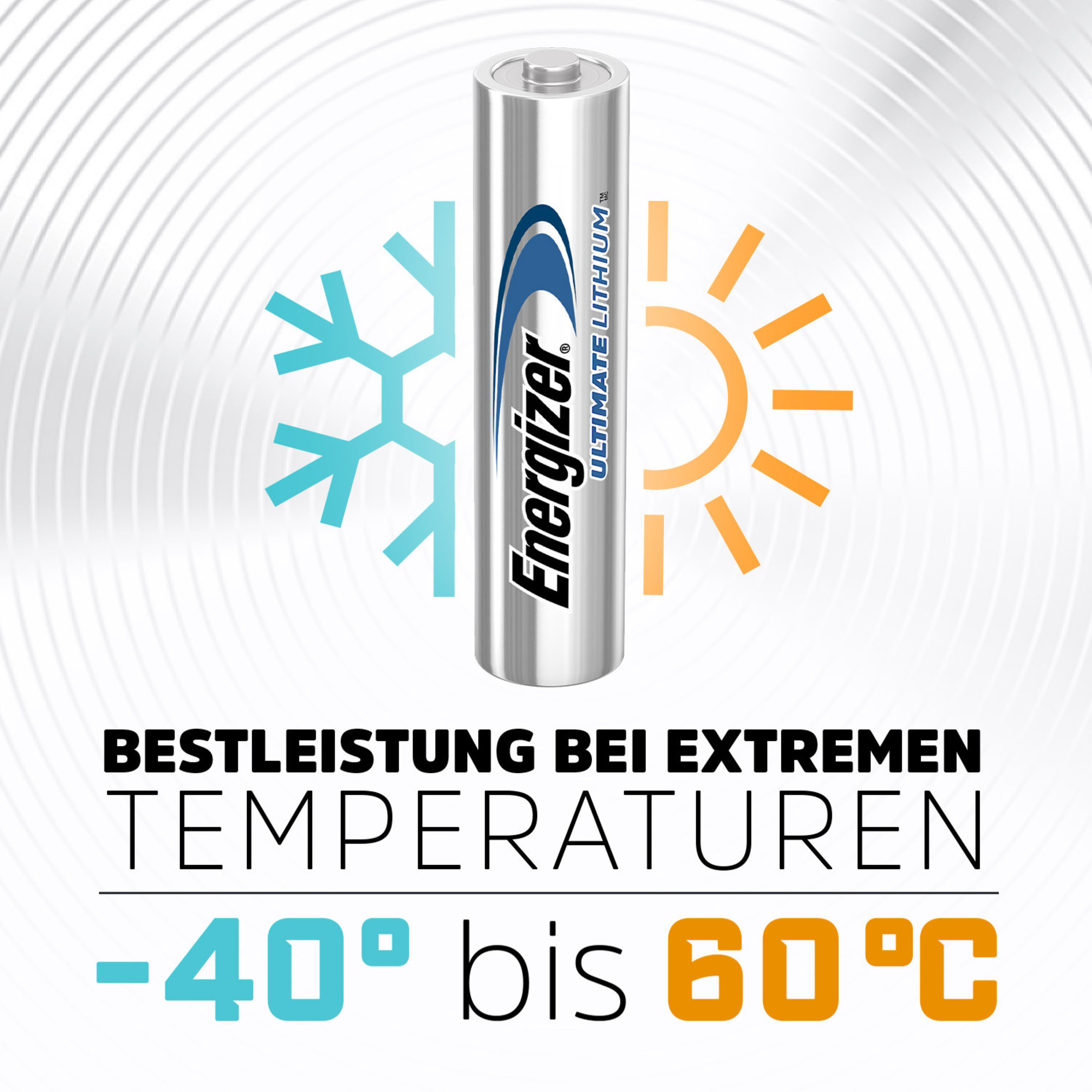 Energizer L91/AA B2B DP10 Pic_1