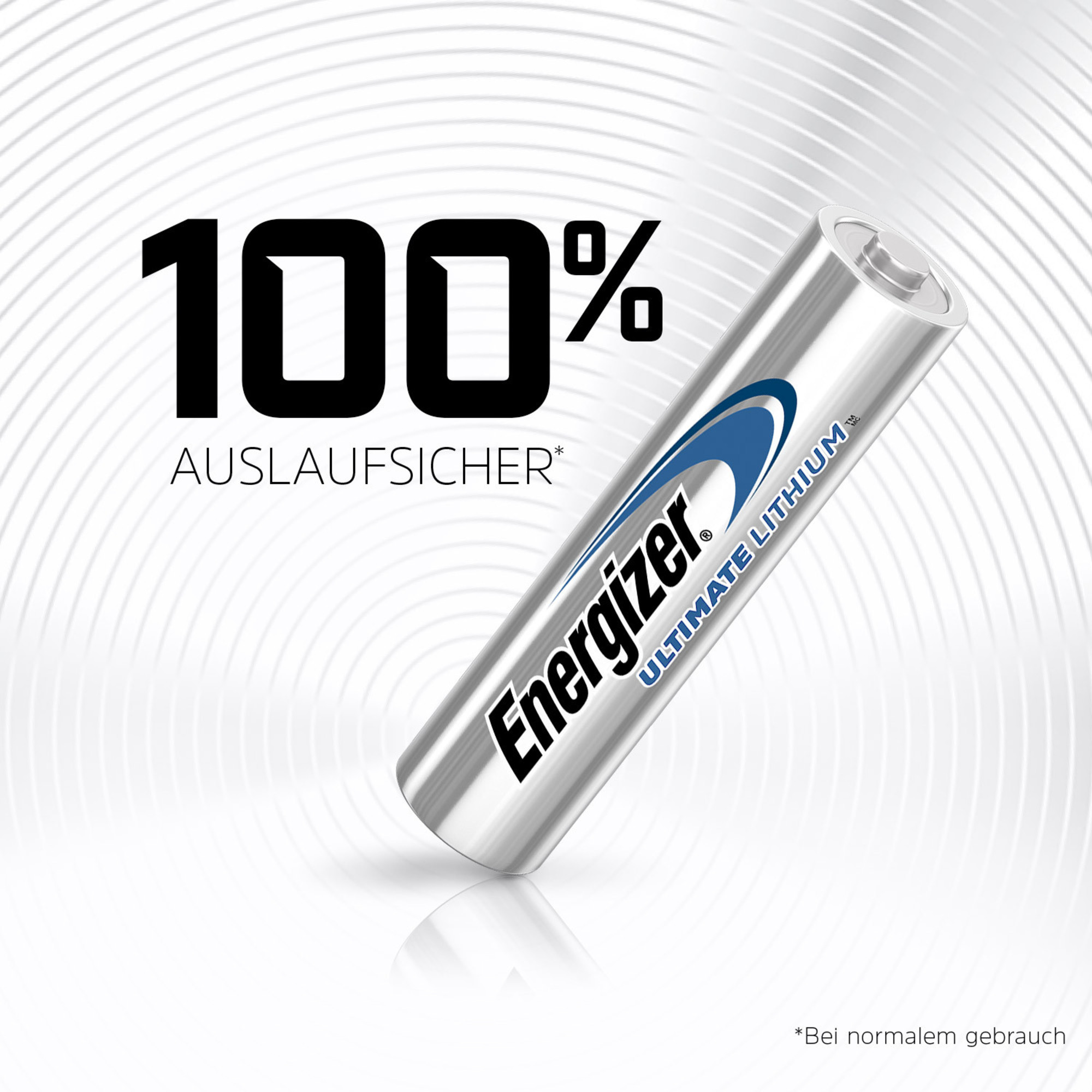 Energizer L91/AA B2B DP10 Pic_2