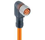 Belden-lumberg RKMWVN/LED A 3-06/5 M Pic_1