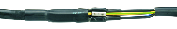 Gt SM 4 25-95 Pic_1