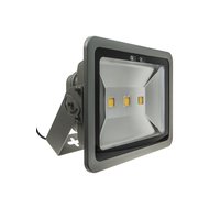 Newlec HLEDF150W3000k Pic_2
