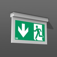 Rzb 671946.004 Pic_1