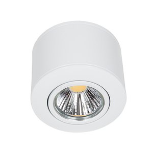 Nobile Licht A 5068 Aufbau dimmbar (C) Pic_1