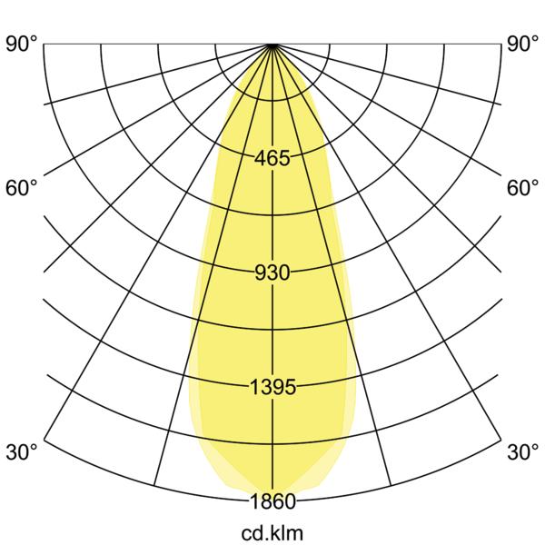 Brumberg 39361074 Pic_1