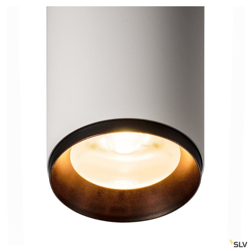 Slv NUMINOS® L PD DALI w/s 2700K 60° Pic_2