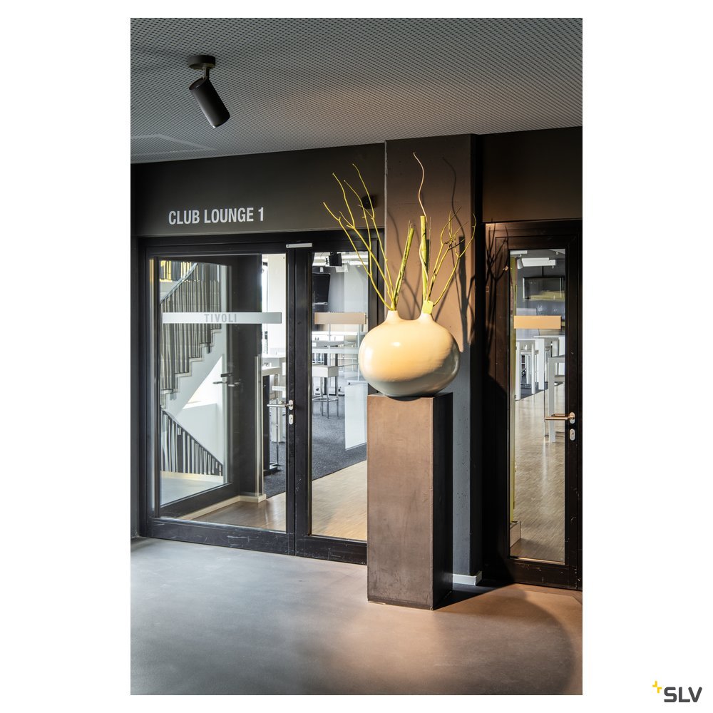Slv NUMINOS® L SPOT DALI s/s 3000K 36° Pic_3