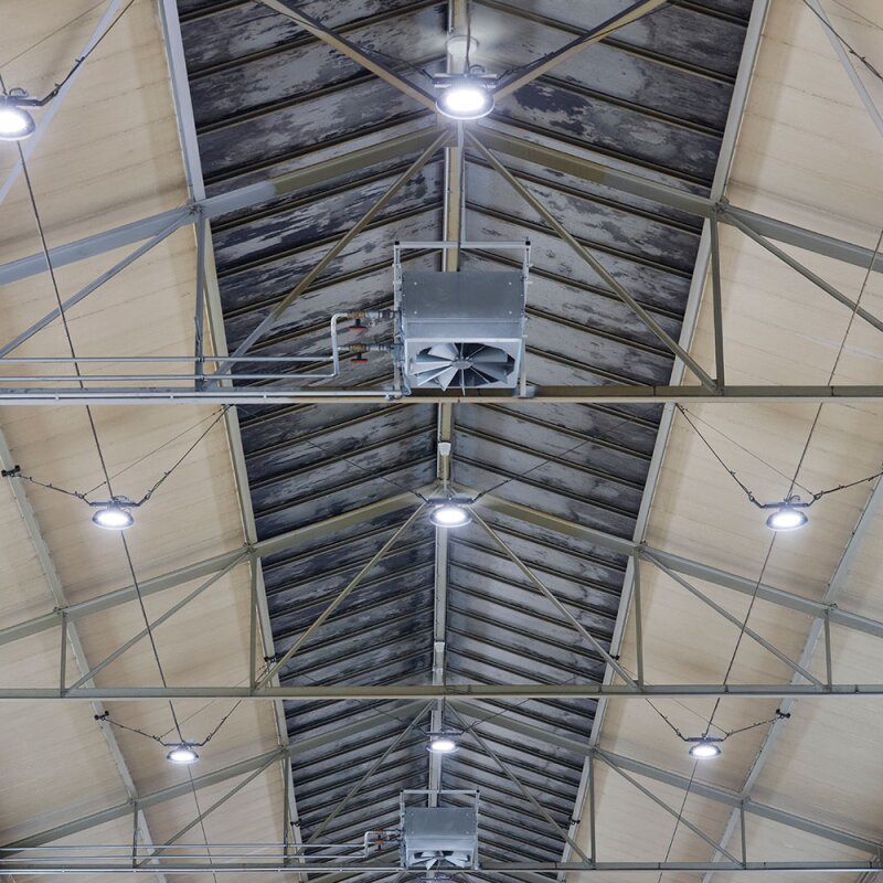 Dotlux GmbH 4988-050080 Pic_2