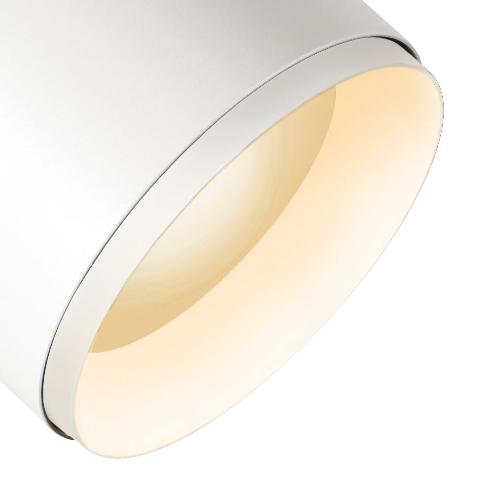 Slv 3~ NUMINOS® XL PHASE w/s 3000K 36° Pic_4