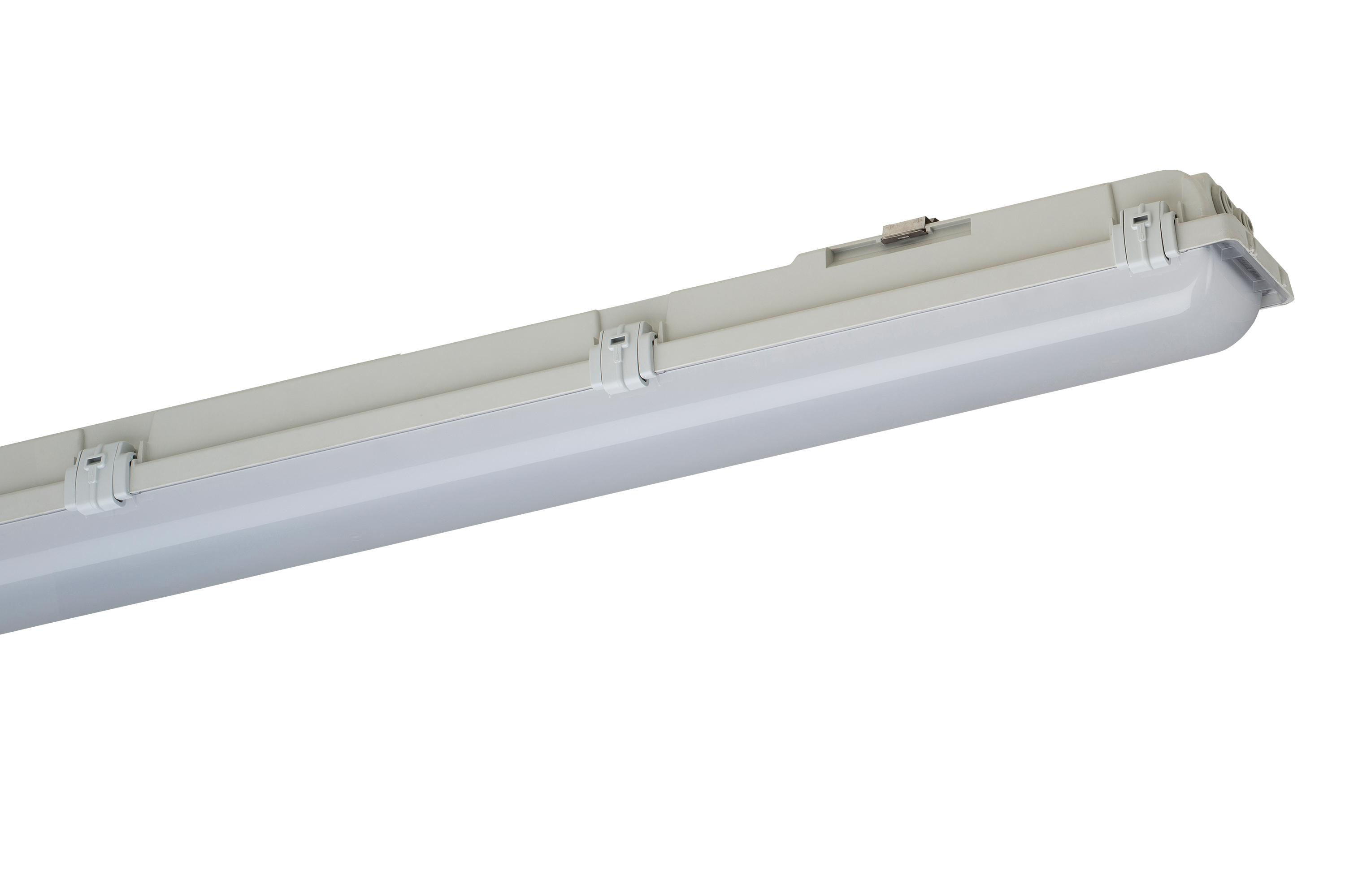Schuch 161PX 15L60 Pic_1