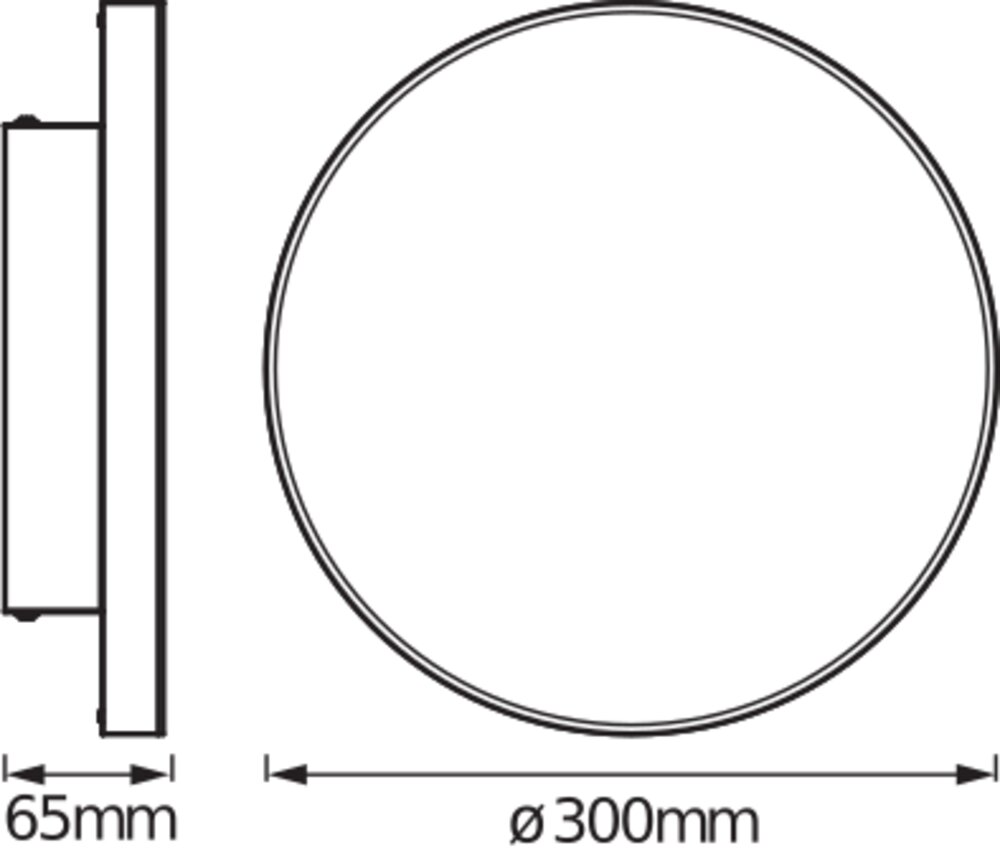 Ledvance Planon Frameless Round 300mm 19W 3000K Pic_3