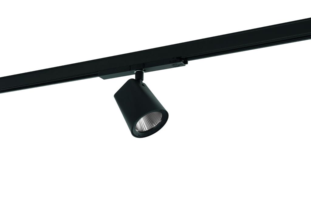Ridi CIRQUA-LI 1X3100-930 M Pic_3