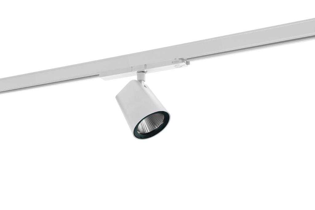 Ridi CIRQUA-LI 1X2600-930 SF Pic_5