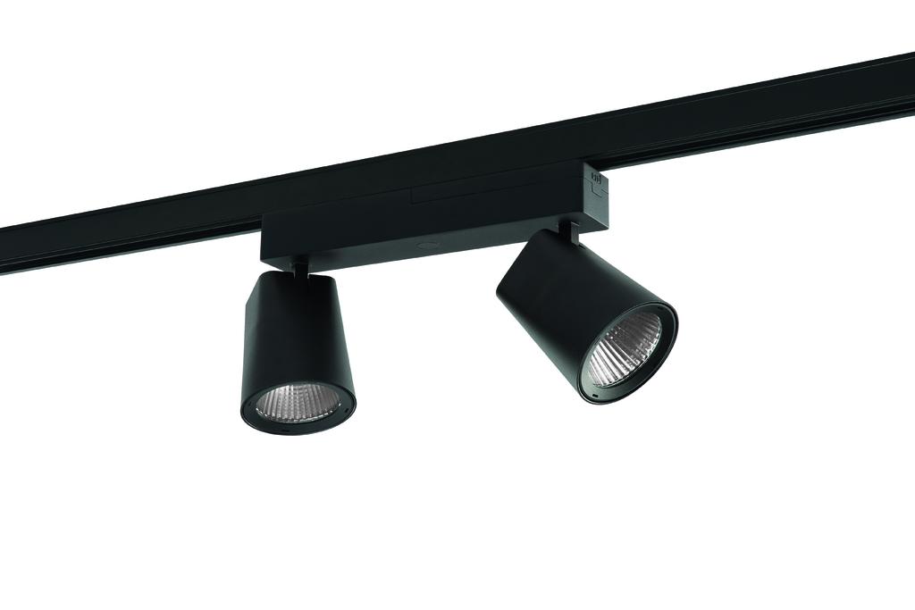 RIDI LEUCHTEN GMBH CIRQUA-L 2X3000-830 SF-FSW Pic_4