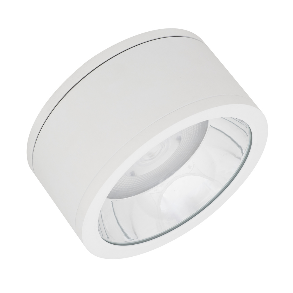 Ledvance DL SURFACE IP65 DN 250 P 45W 830 60D WT Pic_2