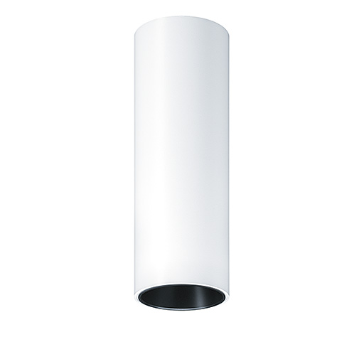 Zumtobel P-INF SC R100 1200-930 LDO BK WH Pic_1