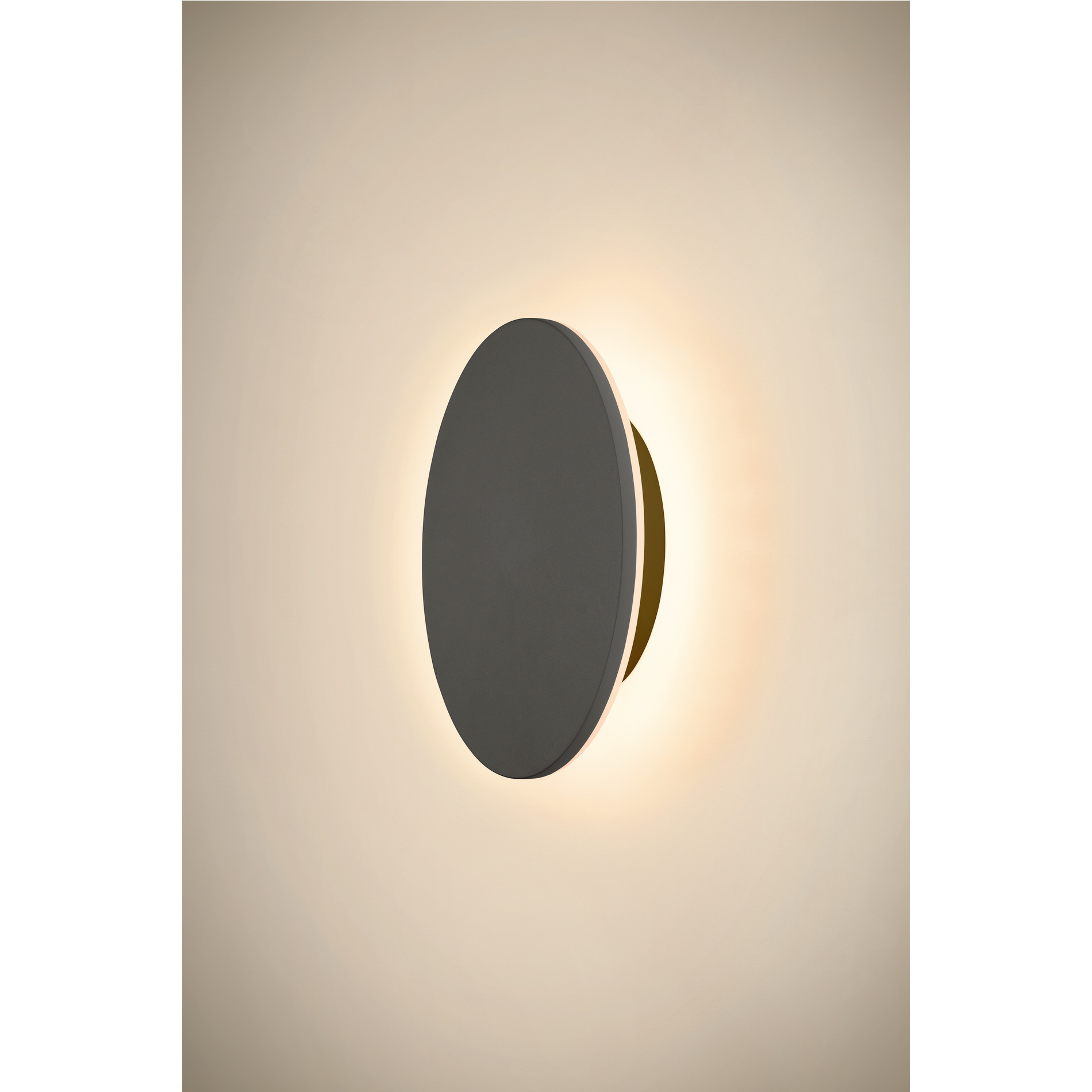 Slv D-RING M WL PHASE 2700/3000K schwarz Pic_2