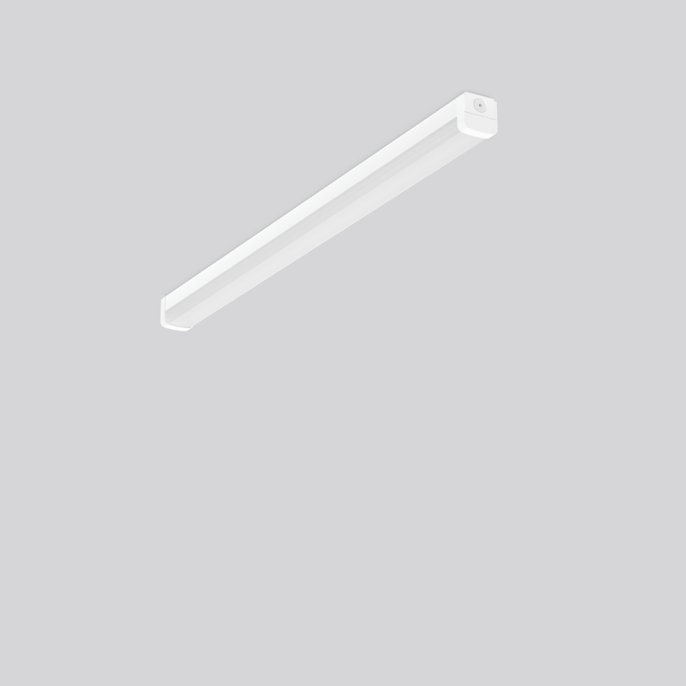 Rzb 312784.002.1 Pic_1