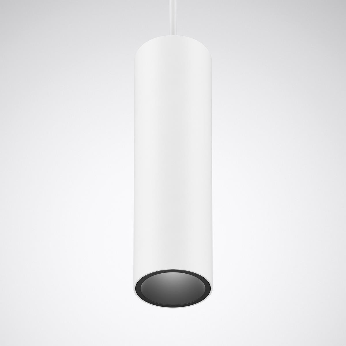 Trilux SNS RH1-R01/01 SRFL-19 8-927 ETDD 01 Pic_1