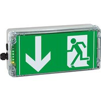 Ceag/cooper 1 2191 030 103 Pic_2