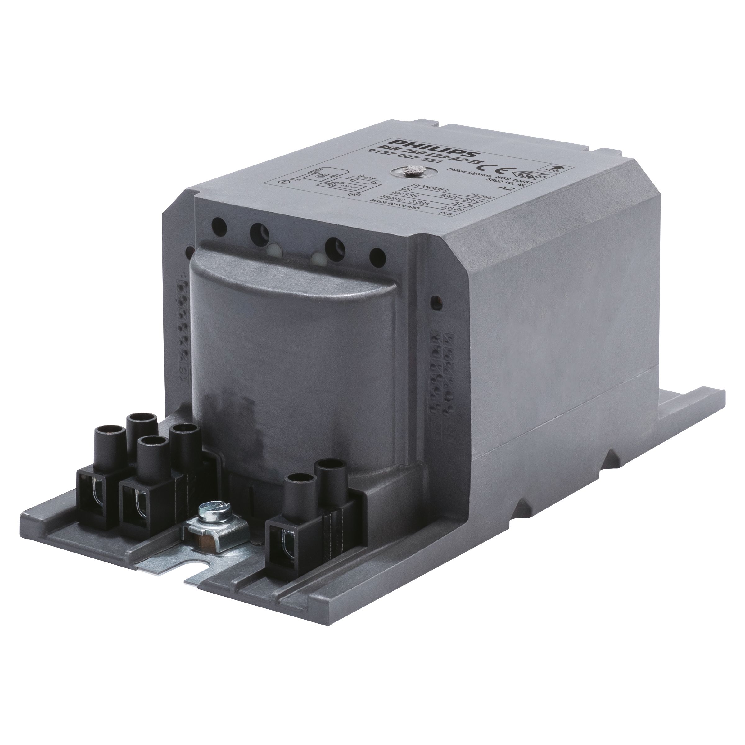 Philips Lighting - Lamps BSN 250 L33-A2-TS 230V 50Hz Pic_1