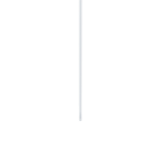 Zumtobel CAELA PENDANT TUBE 2000 WH Pic_1