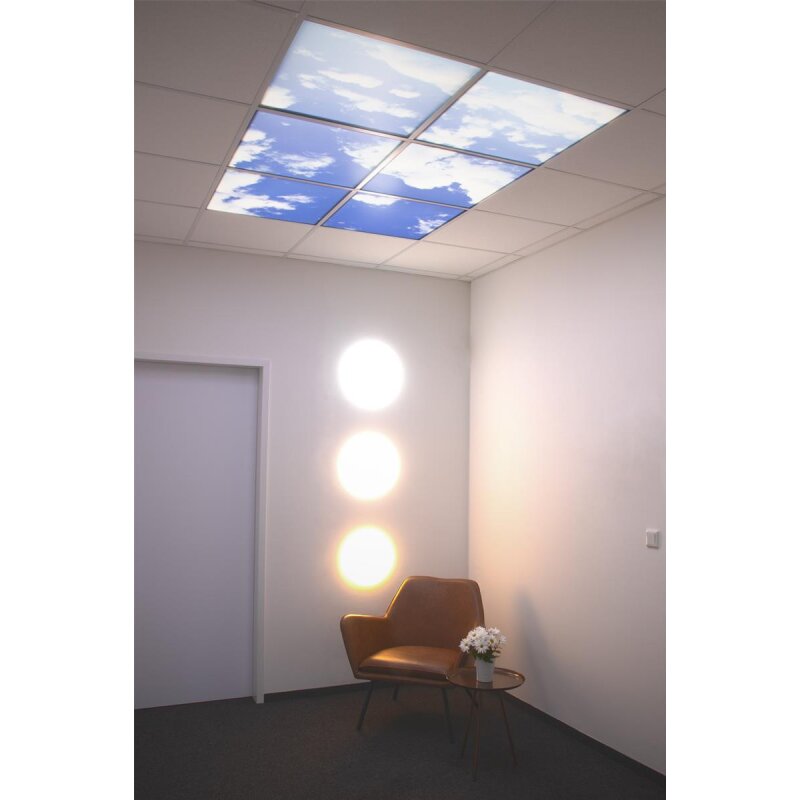 DOTLUX M05-01010620 Pic_2