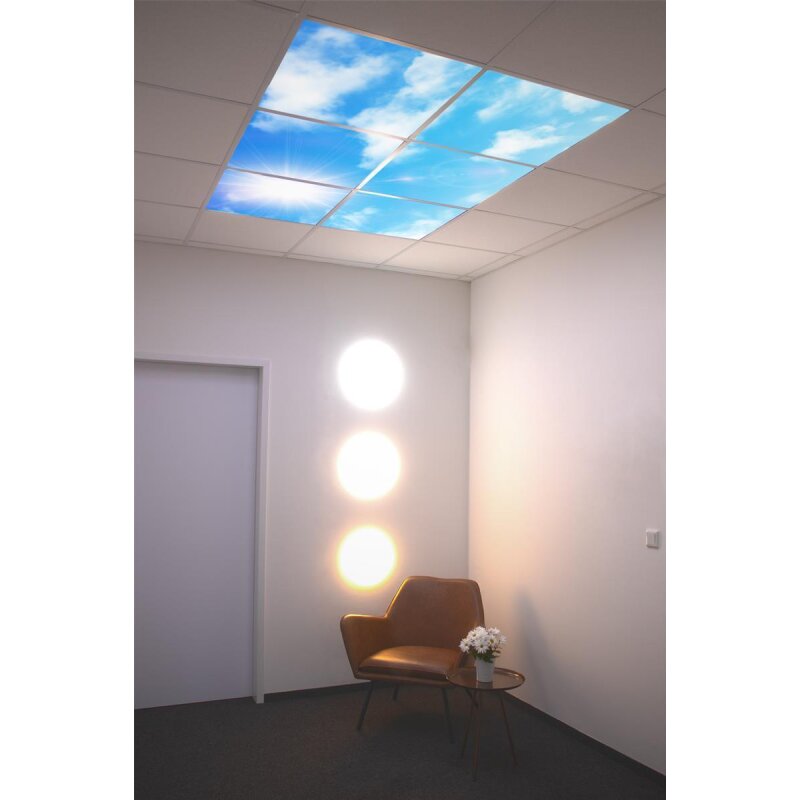 DOTLUX M06-01010620 Pic_2