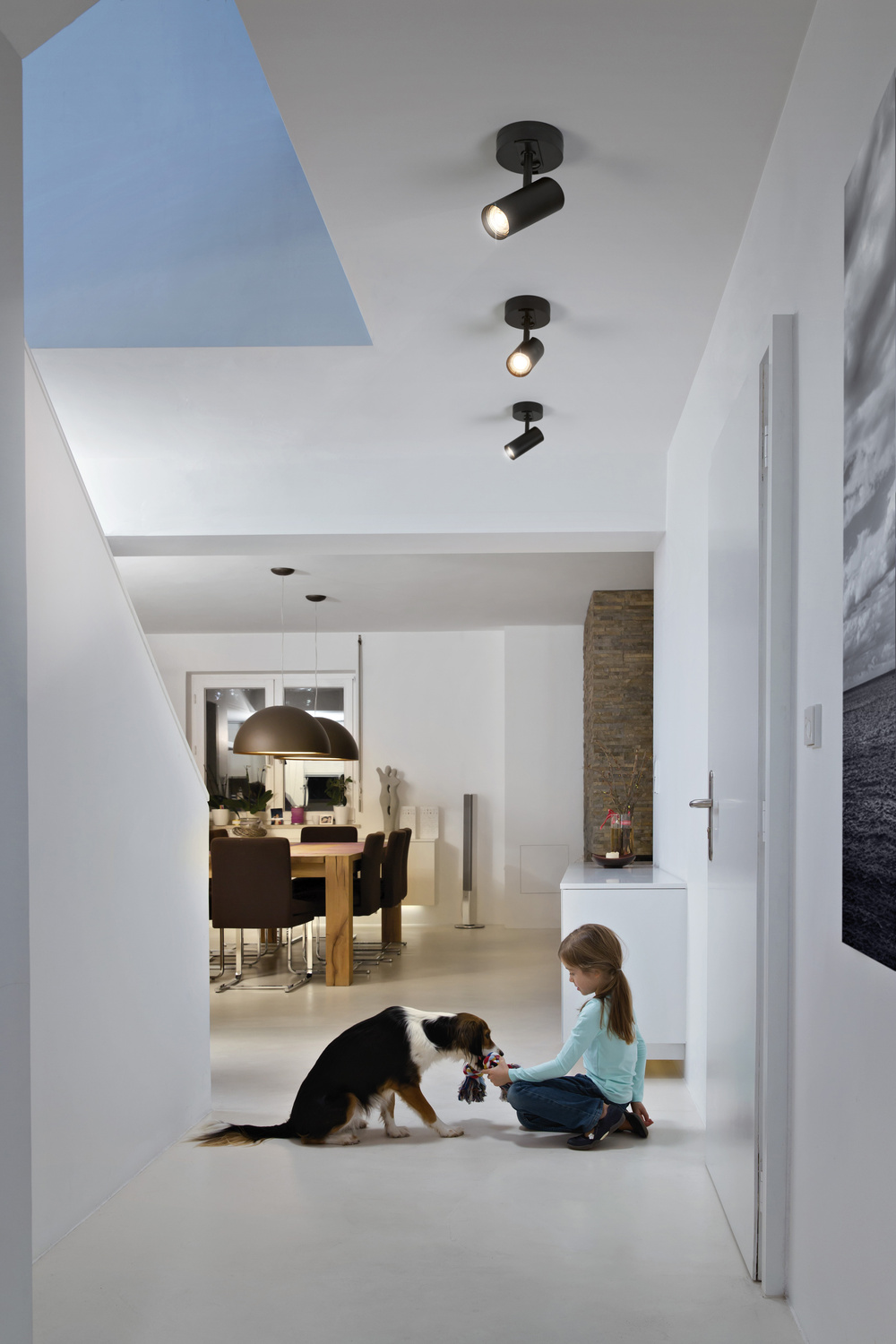 Ledvance Tracklight Round Base Black Pic_1
