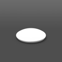 Rzb 08-311165.012 Pic_1