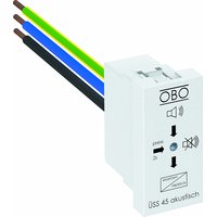 Obo Bettermann ÜSS 45-A-RW Pic_2