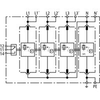 Dehn + Söhne DV M TT 255 FM Pic_3