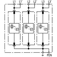 Dehn + Söhne DV M TNC 255 Pic_2