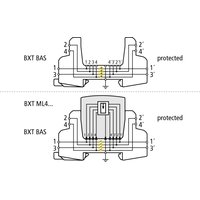 Dehn + Söhne BXT BAS EX Pic_3