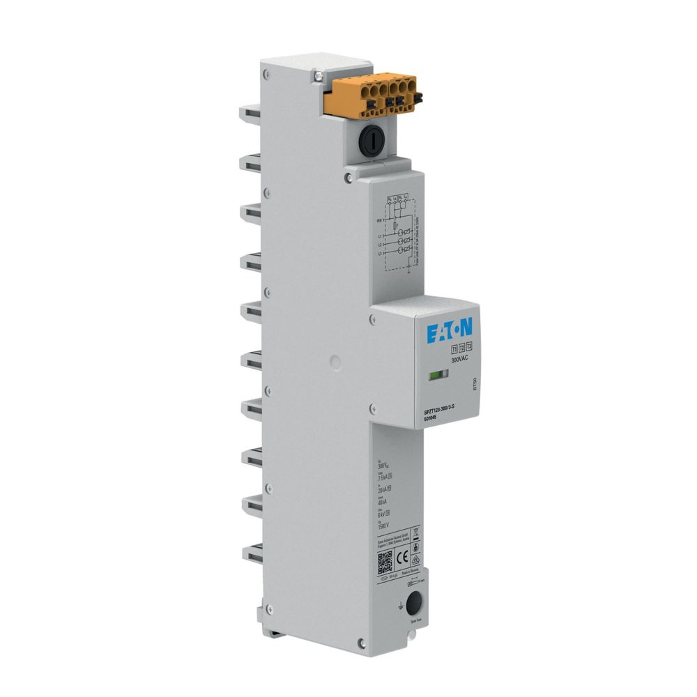 Eaton Electric SPZT123-300/3-S Pic_2