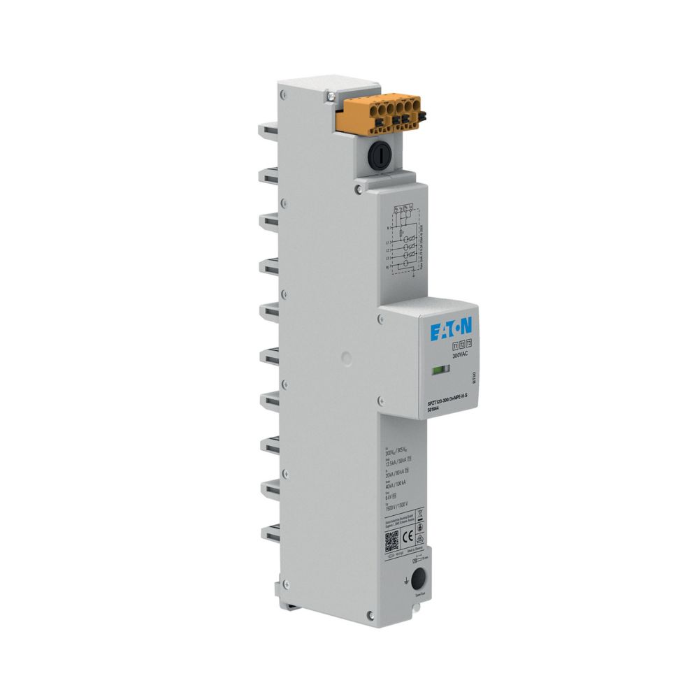 Eaton Electric SPZT123-300/3+NPE-H-S Pic_2
